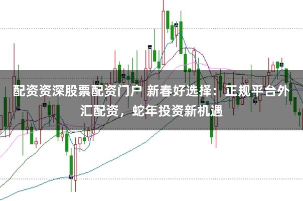 配资资深股票配资门户 新春好选择：正规平台外汇配资，蛇年投资新机遇