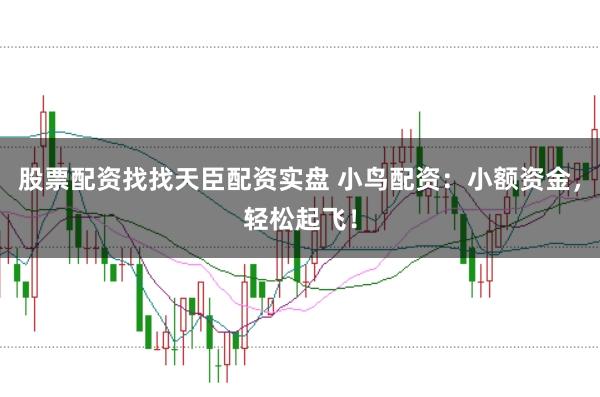 股票配资找找天臣配资实盘 小鸟配资：小额资金，轻松起飞！
