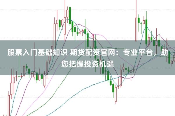 股票入门基础知识 期货配资官网：专业平台，助您把握投资机遇