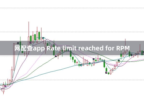 网配查app Rate limit reached for RPM