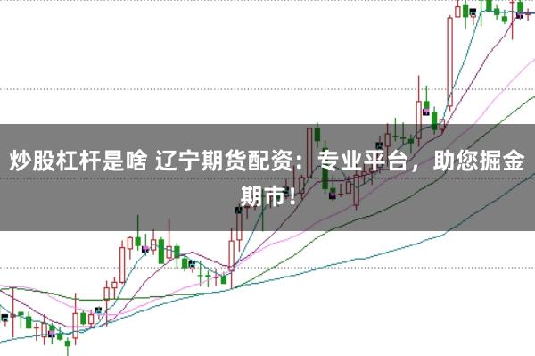 炒股杠杆是啥 辽宁期货配资：专业平台，助您掘金期市！