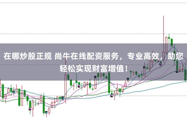 在哪炒股正规 尚牛在线配资服务，专业高效，助您轻松实现财富增值！