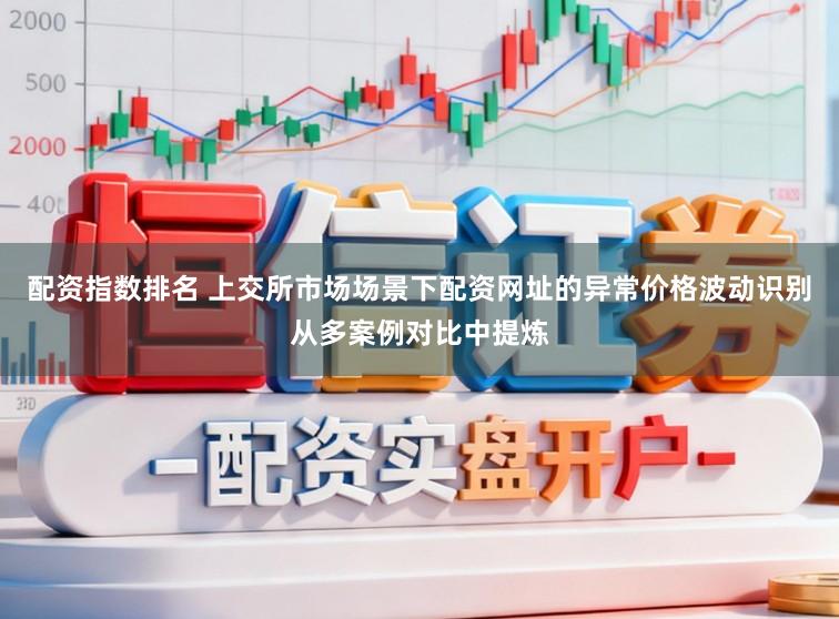 配资指数排名 上交所市场场景下配资网址的异常价格波动识别从多案例对比中提炼